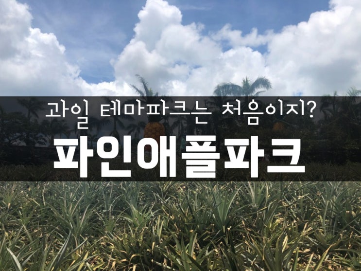  과일 테마파크는 처음이지? 오키나와 나고의 랜드마크 파인애플파크!