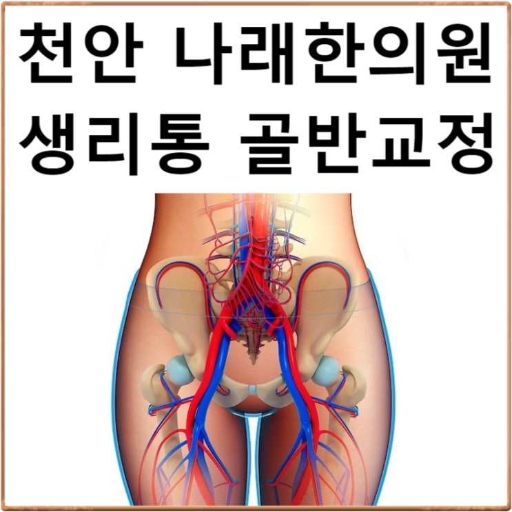  천안 생리통 한의원 칼럼 : 추나요법 골반교정과 생리통의 관계 : 나래한의원