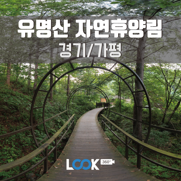 [경기/가평] 유명산자연휴양림 1박2일 코스 360VR보기