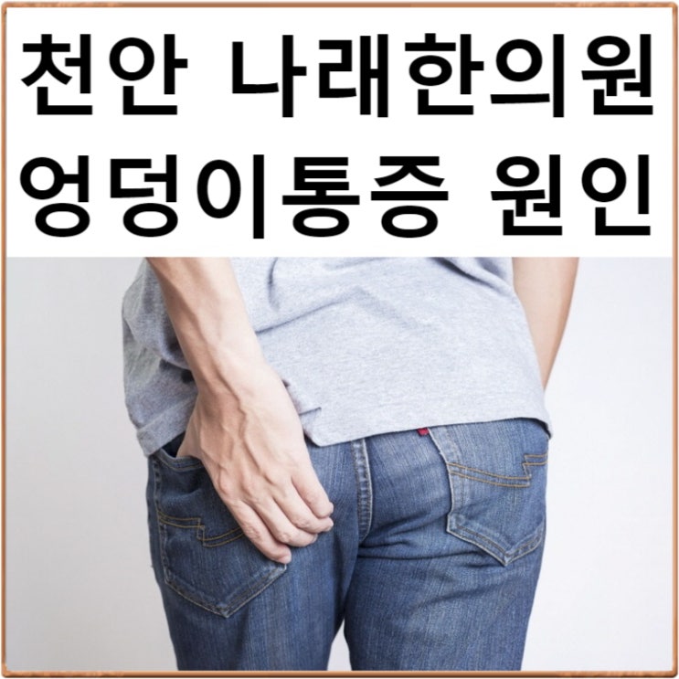 천안 엉덩이통증 한의원 : 엉덩이가 아픈 이유가 뭔가요? : 신부동 한의원 진료일지