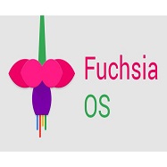  구글의 새로운 OS:   Fuchsia