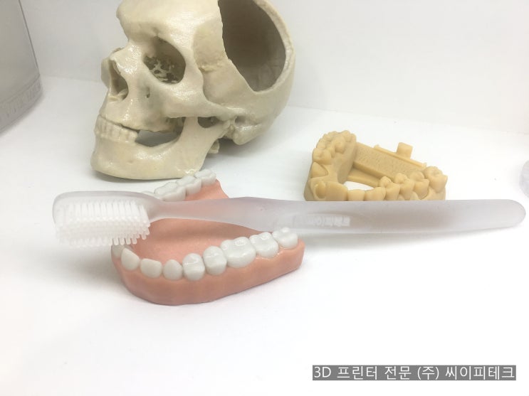  [3D 프린터 전문 (주) 씨이피테크] 유연성 플라스틱 소재 VisiJet ProFlex(폴리프로필렌 유사 재료) 로 제작 한 "칫솔"