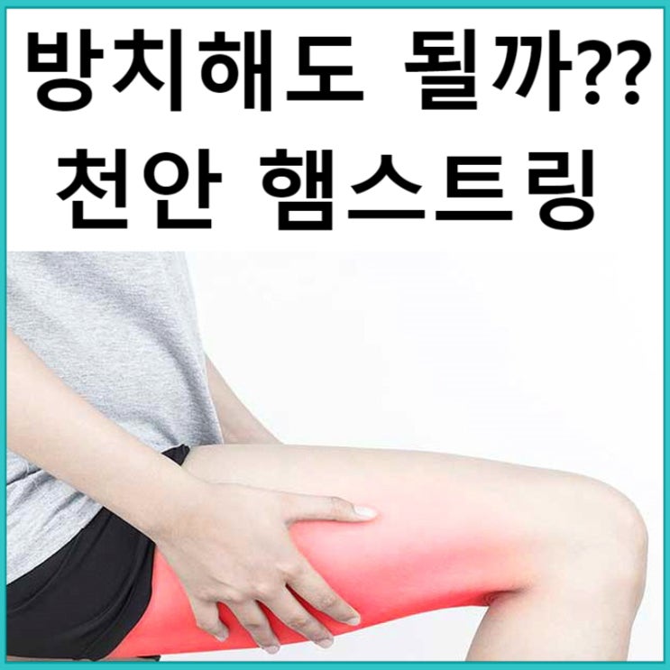  천안 햄스트링 손상, 파열 문의답변 : 신부동 나래한의원