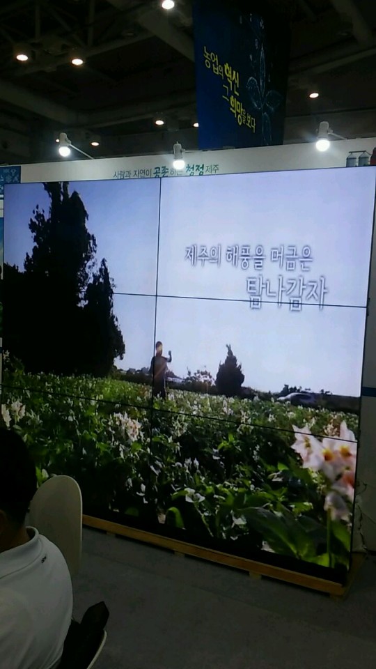  창원 농업기술산업대전 멀티비전, 50인치 TV 대여 설치
