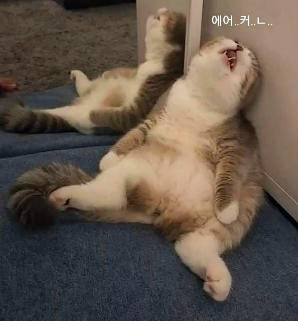  [양주 카페]이쁜카페 담소