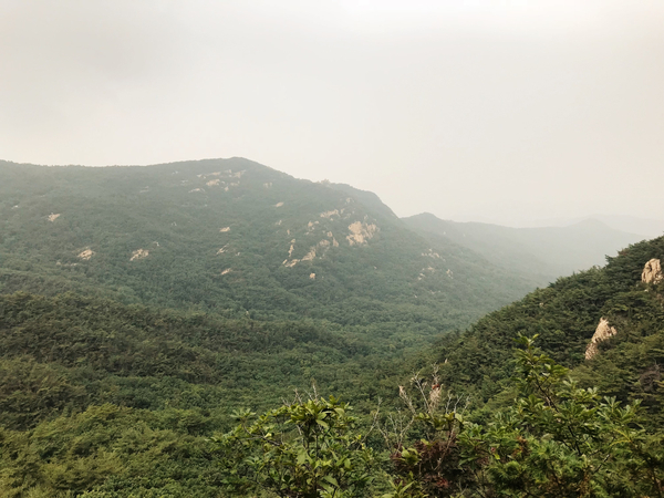  여름 산행