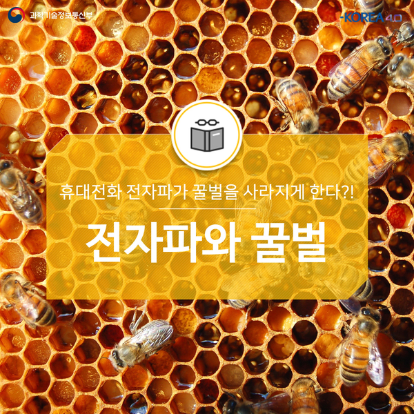 [전자파 오해와 진실] <b>휴대전화 전자파</b>가 꿀벌을 사라지게 한다?!
