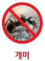 개미의 종류 및 습성