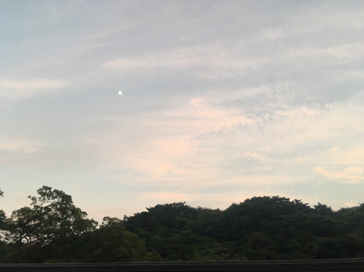  마음치유,관찰,이해