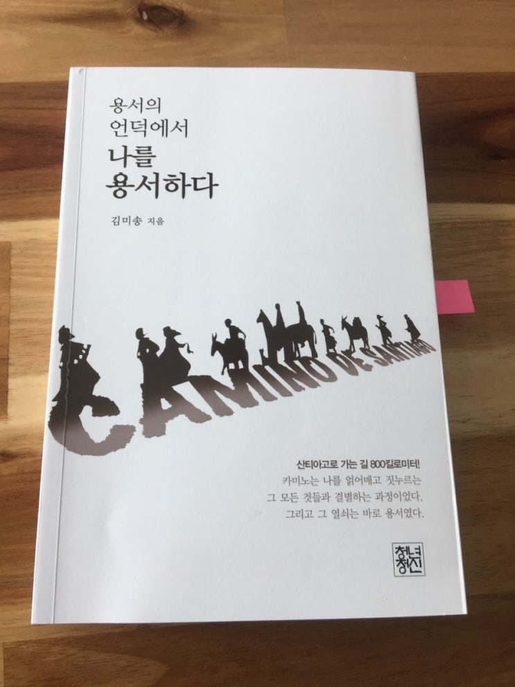  같이 걸을까 산티아고