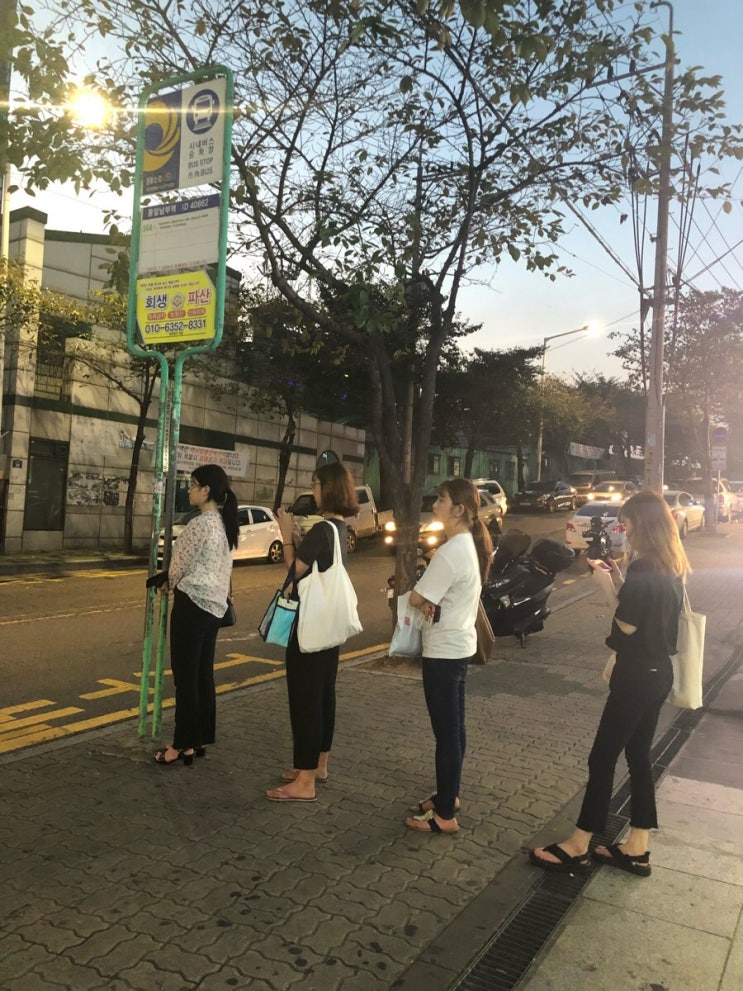 마을버스 그냥 걸어갈까, 타고갈까? 언제 올지 모르는 버스로 망설여질 때 꺼내세요!? 마을버스 그냥 걸어갈까, 타고갈까? 언제 올지 모르는 버스로 망설여질 때 꺼내세요!?