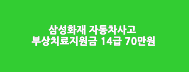  삼성화재 자동차사고 부상치료비원금 14급 70만원 안심동행 상해보험