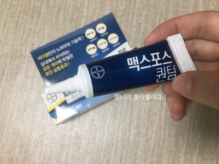 약국 개미약 잡스 맥스포스 퀀텀 집개미퇴치하기:)