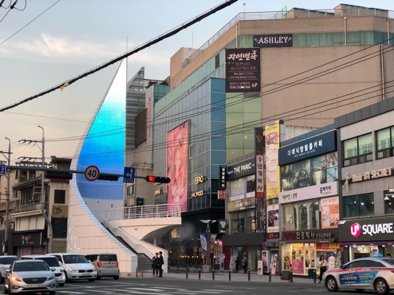 애슐리W : 새우축제 / 생일쿠폰 / 뉴욕스톤스테이크 / 평일디너 : 네이버 블로그