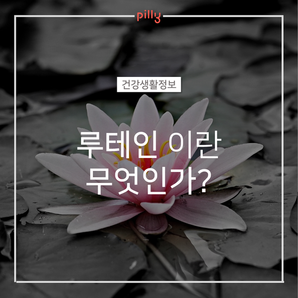  [영양제] 루테인이란? (루테인 성분, 눈에 좋은 영양제)