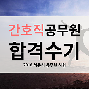2018 세종시 간호직 합격수기
