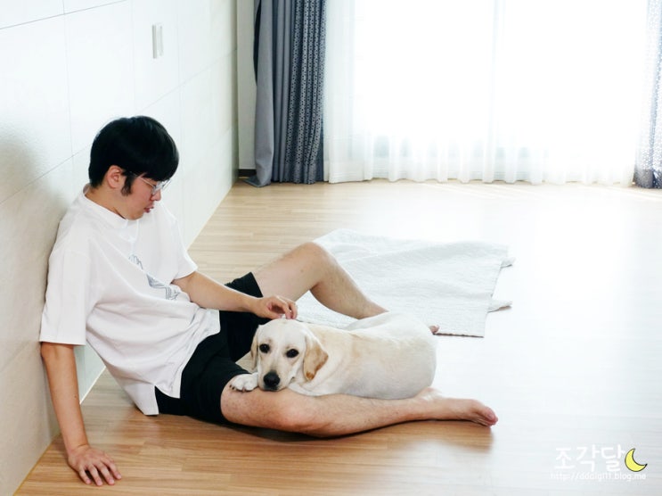  질 좋은 남자 여름 반팔티, 조군샵 추천해요 'ㅁ'