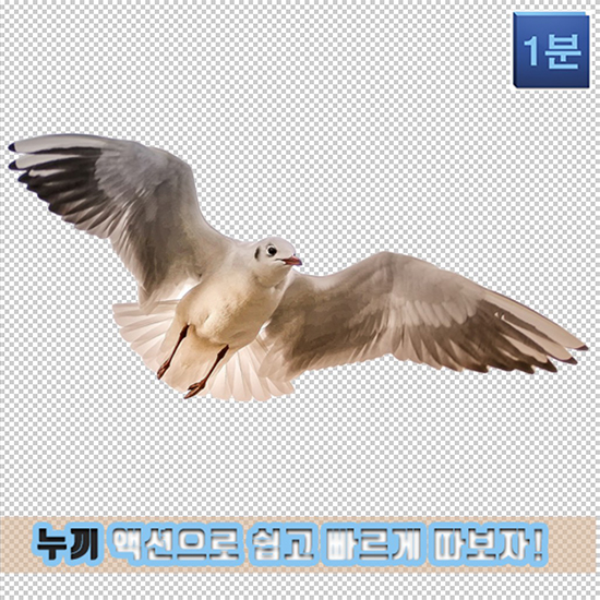  (1분포토샵강의) 누끼 액션으로 빠르게 따보자 !!