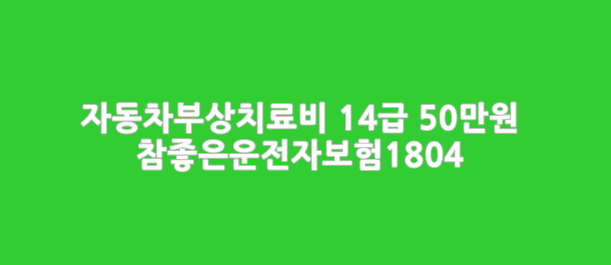  간편가입 DB손해(구 동부화재) 자동차부상치료비 14급 50만원, 참좋은 운전자보험1804