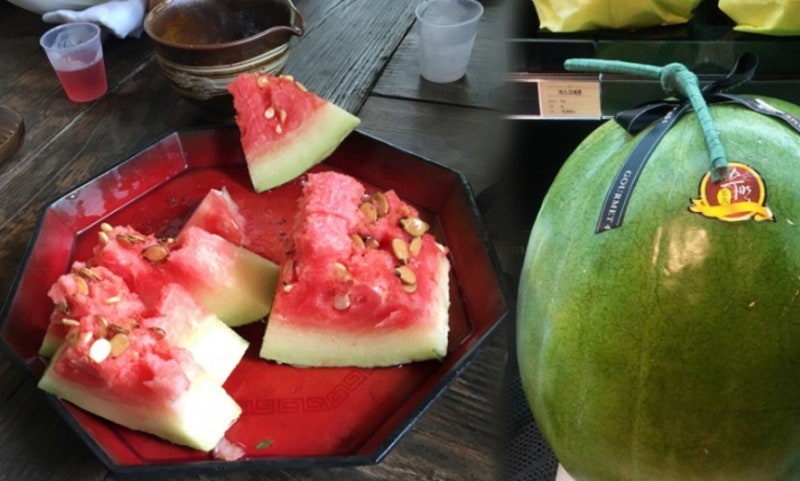 무등산 수박 푸랭이 여름 그 맛