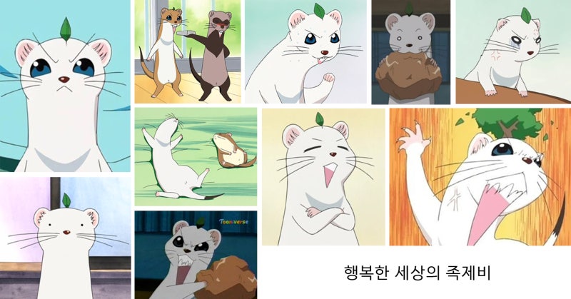 애니 행복한 세상의 족제비 캐릭터 핸드폰 배경화면을 만들어봤어요 네이버 블로그