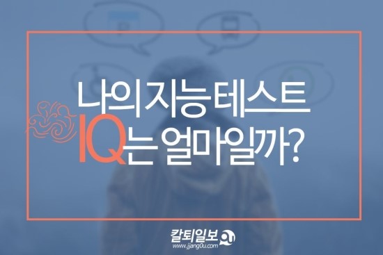  IQ테스트!