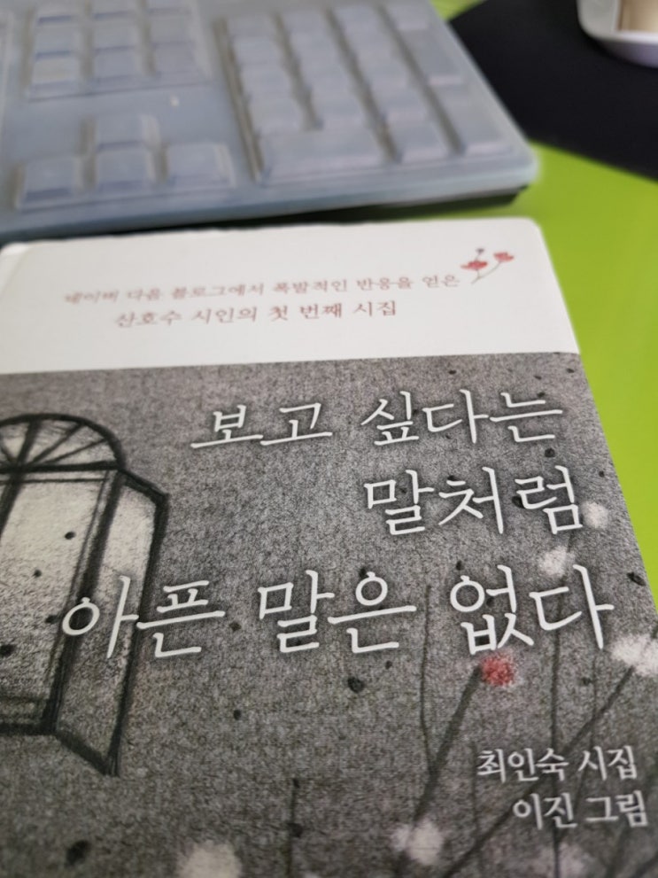  보고 싶다는 말처럼 아픈 말은 없다/최인숙