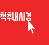  척추내시경