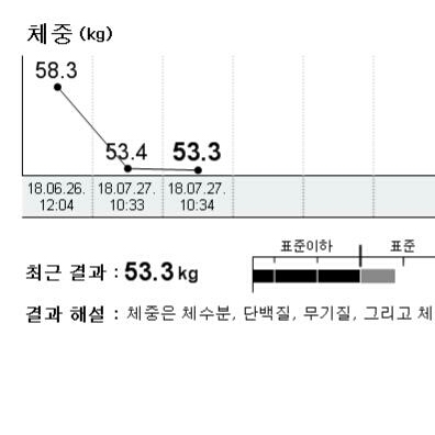 다이어트 어떻게 하고 계신가요?