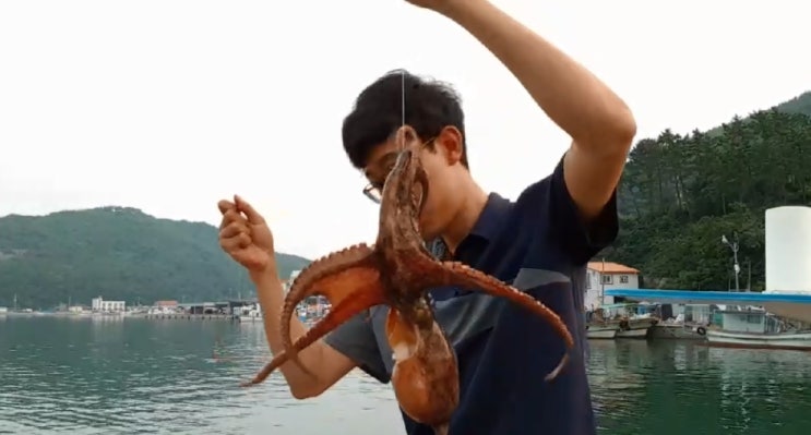  남해방파제 문어루어낚시와 우럭타작 그리고 통발붉바리
