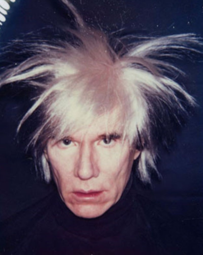 앤디워홀의 작품/앤디워홀의 여인/작품해설/그의 뮤즈/에디 세즈윅/솔라니스 총격사건 : 네이버 블로그, image size:800x1005