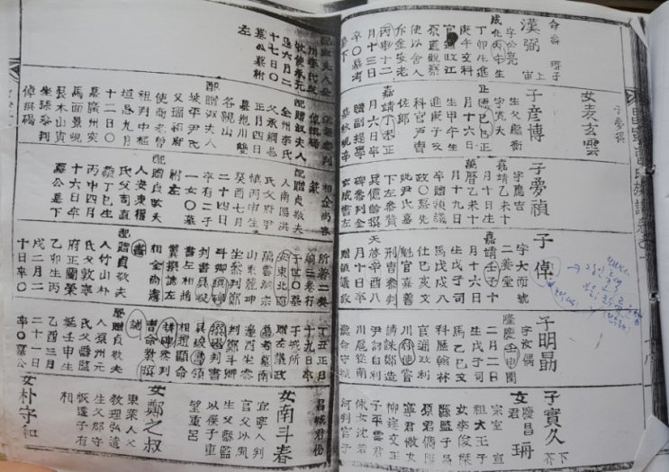조몽정(曹夢禎) 신도비명과 무신혁명(이인좌의 난) 조몽정(曹夢禎) 신도비명과 무신혁명(이인좌의 난)
