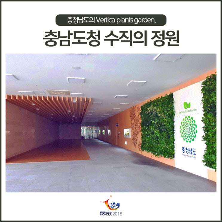 충남도청에 수직 정원(Vertical plants garden)이 생겼어요.