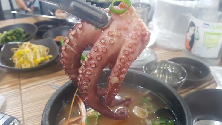 제주협재맛집 한림항근처 해물뚝배기 옥만이네 후기 제주협재맛집 한림항근처 해물뚝배기 옥만이네 후기