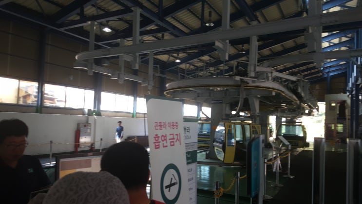  웰리힐리 리조트 곤도라 타고 달료 달료