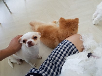 사진 4