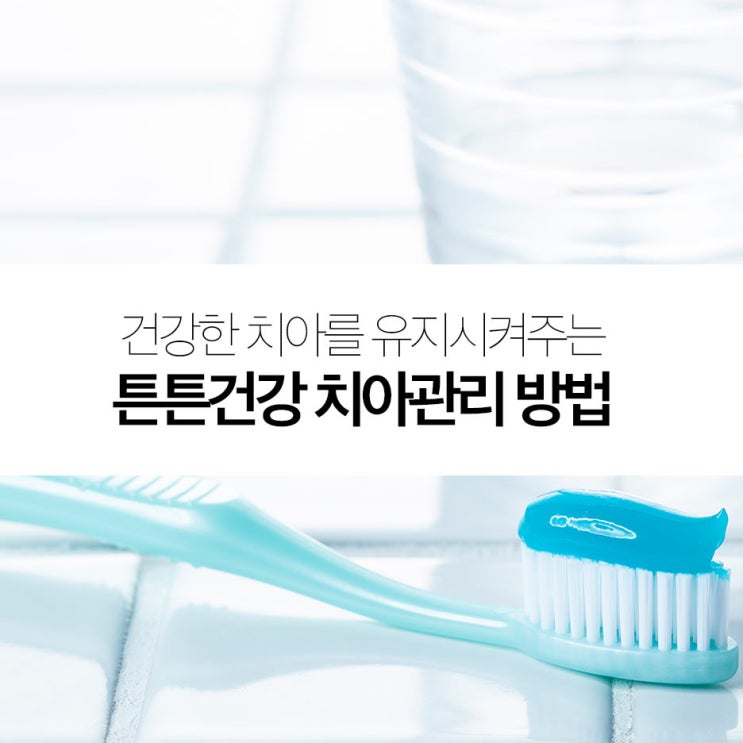  치아관리, 건강하게 관리하는 방법