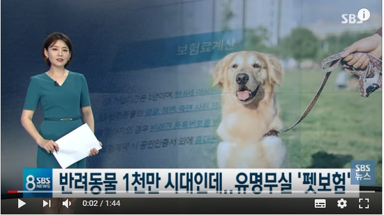 반려동물 병원 부담 큰데....'펫보험' 있으나마나/SBS 반려동물 병원 부담 큰데....'펫보험' 있으나마나/SBS