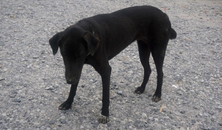 한국인은 무엇으로 살까??