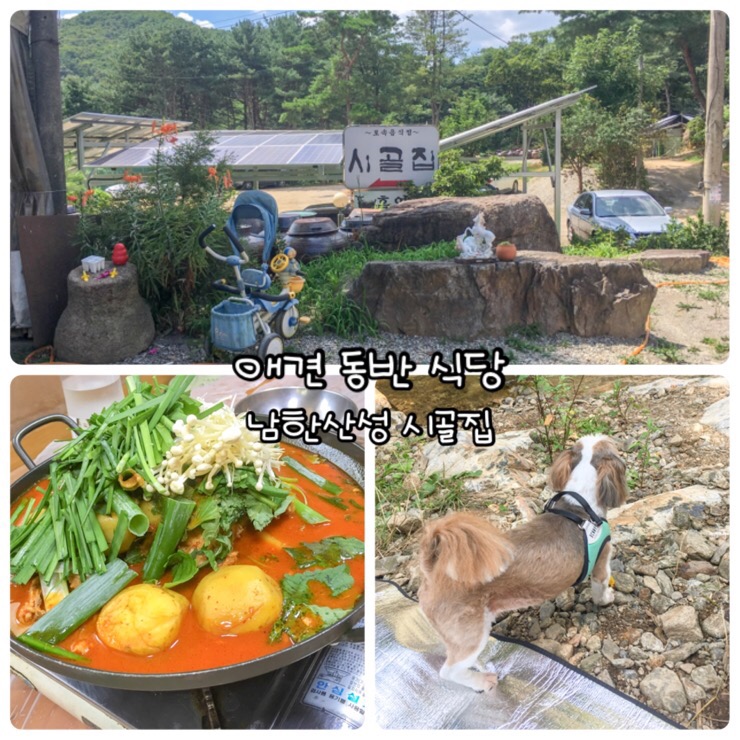  경기도 남한산성 애견 동반 식당 시골집.