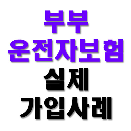  부부운전자보험 실제 가입사례