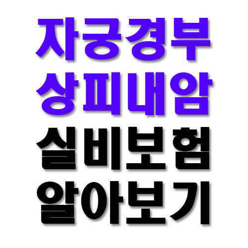  자궁경부상피내암 실비보험 알아보기