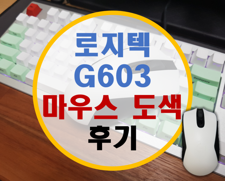 마우스 도색 로지텍 G603 화이트 후기 마우스 도색 로지텍 G603 화이트 후기