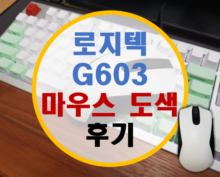 마우스 도색 로지텍 G603 화이트 후기