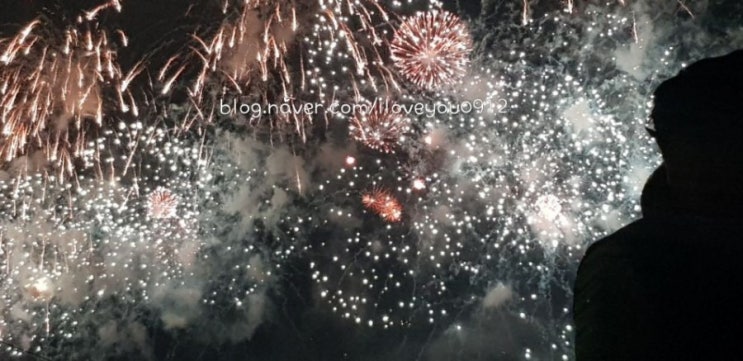 포항 - 국제불빛축제 국제불꽃쇼 포항 - 국제불빛축제 국제불꽃쇼