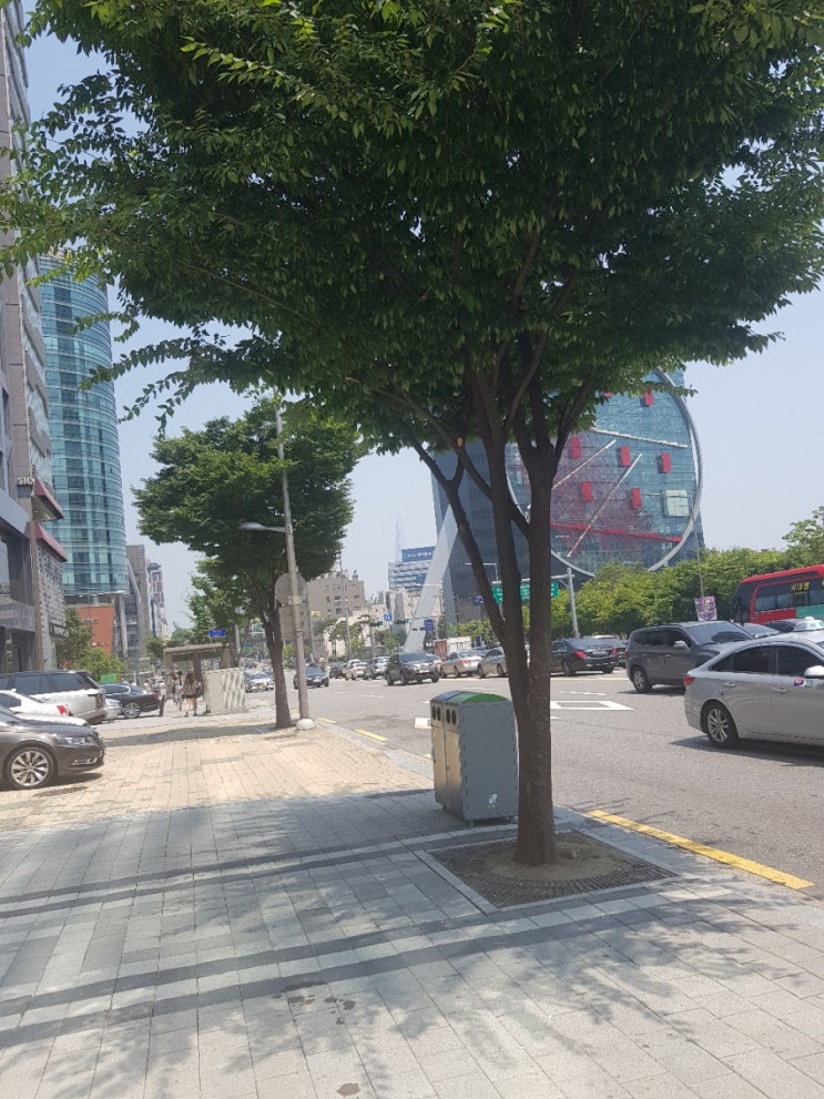  우리나라 날씨가 점점 동남아가 되는 것일까?