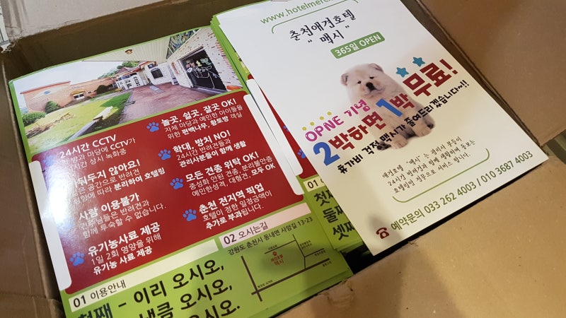사진 4