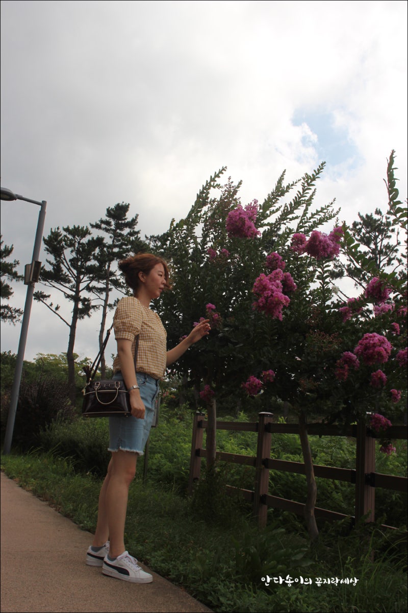 30대여성쇼핑몰 패션풀 체크블라우스 청치마 데일리룩 딱이지!