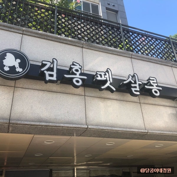 김홍펫살롱
