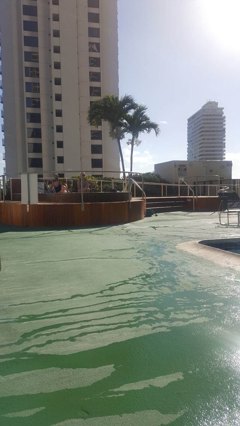 하와이 오아후 와이키키 여행 가성비 숙소추천 : 애스톤 반얀 와이키키 (aston banyan waikiki) : 네이버 블로그